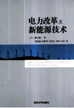 电力改革及新能源技术