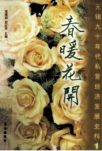 春暖花开 无锡九十年代私营企业发展史料 第1辑