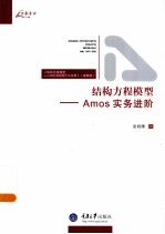 结构方程模型  Amos实务进阶