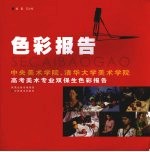 色彩报告 中央美术学院、清华大学美术学院高考美术专业双保生色彩报告