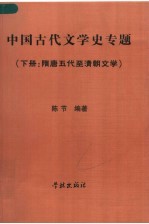 中国古代文学史专题 下 隋唐五代至清朝文学