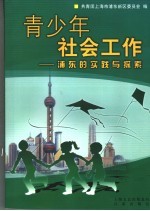 青少年社会工作 浦东的实践与探索