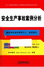 2014全国注册安全工程师执业资格考试红宝书 安全生产事故案例分析