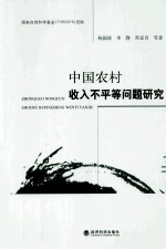 中国农村收入不平等问题研究