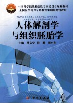 人体解剖学与组织胚胎学