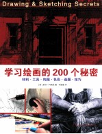 学习绘画的200个秘密  材料工具构图色彩选题技巧