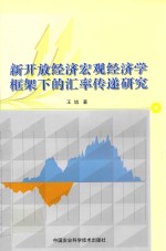 新开放经济宏观经济学框架下的汇率传递研究