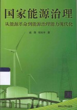 国家能源治理  从能源革命到能源能力现代化