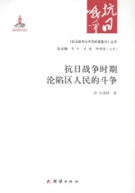 《抗日战争与中华民族复兴》丛书 抗日战争时期沦陷区人民的斗争