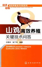 山鸡高效养殖关键技术问答