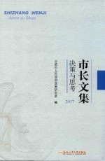 市长文集 决策与思考 2017