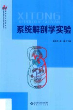 系统解剖学实验