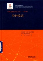 中国战略性新兴产业 新材料 特种玻璃