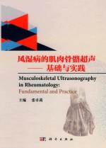 风湿病的肌肉骨骼超声  基础与实践  双语版