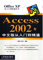 Access 2002中文版从入门到精通