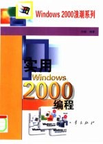 实用Windows 2000编程