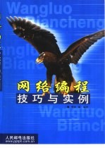 网络编程技巧与实例