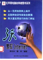 3天驾驭Internet