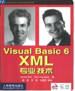 Visual Basic 6 XML专业技术