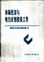 市场经济与电力计划投资工作