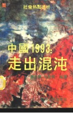 中国1993 走出混沌