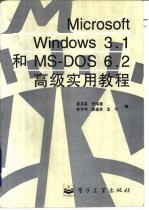 Microsoft Windows 3.1和MS-DOS6.2高级实用教程