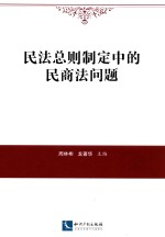 民法总则制定中的民商法问题