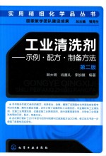 实用精细化学品丛书  工业清洗剂  示例·配方·制备方法  第2版