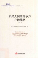 新兴大国的竞争力升级战略 下