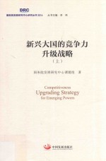 新兴大国的竞争力升级战略 上