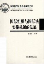 国际组织与国际法实施机制的发展