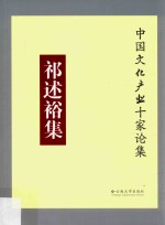 中国文化产业十家论集 祁述裕集