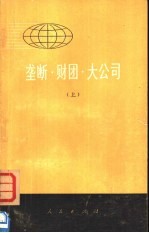 垄断·财团·大公司 下