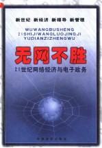 无网不胜 21世纪网络经济与电子政务 下