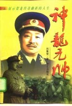 神龙元帅 下