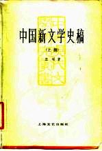 中国新文学史稿 下