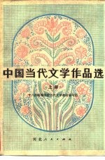 中国当代文学作品选 下