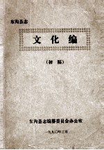 东沟县志 文化编