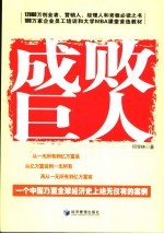 成败巨人  一个中国乃至全球经济史上绝无仅有的案例