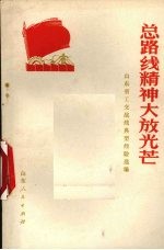 总路线精神大放光芒 山东省工交战线典型经验选编