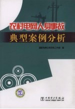 农村电网人身事故 典型案例分析