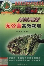 芹菜芫荽无公害高效栽培