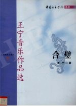 合璧 王宁音乐作品选