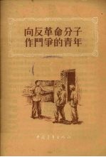 向反革命分子作斗争的青年