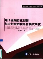 电子金融自主创新与农村金融信息化模式研究