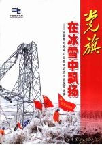 党旗在冰雪中飘扬：中国南方电网公司党团组织抗灾保电纪实