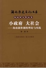 小政府 大社会 海南新体制的理论与实践