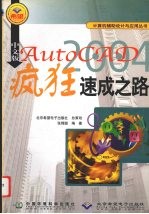 中文版AutoCAD 2004疯狂速成之路