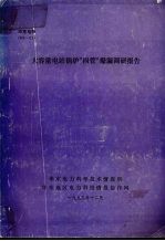 大容量电站锅炉“四管”爆漏调研报告