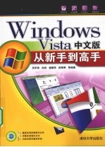 Windows Vista中文版从新手到高手